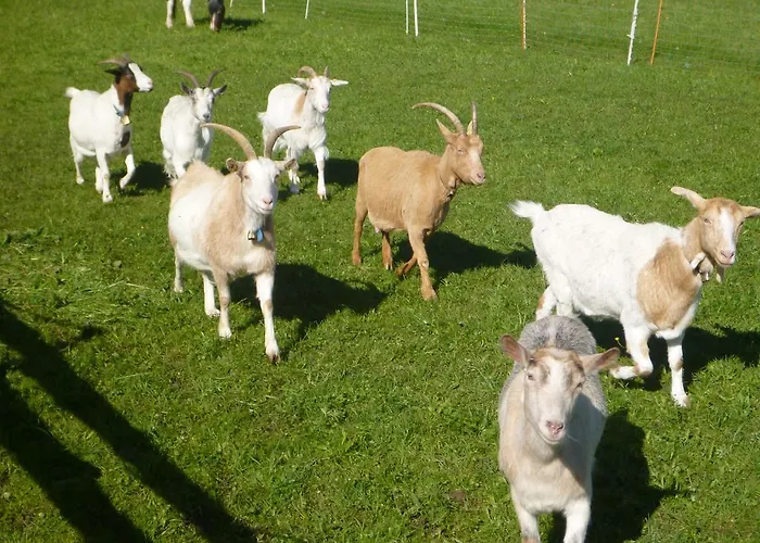 Gaestehaus Andreas Hofer Bed & Breakfast 3*