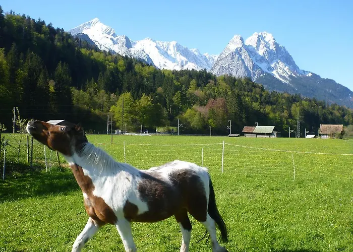 Gaestehaus Andreas Hofer 3*